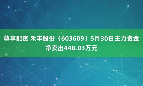 尊享配资 禾丰股份（603609）5月30日主力资金净卖出448.03万元