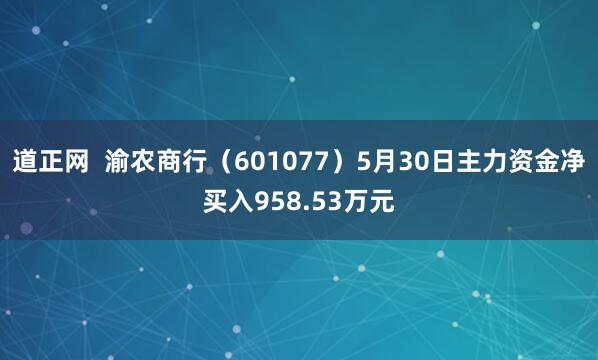 道正网  渝农商行（601077）5月30日主力资金净买入958.53万元