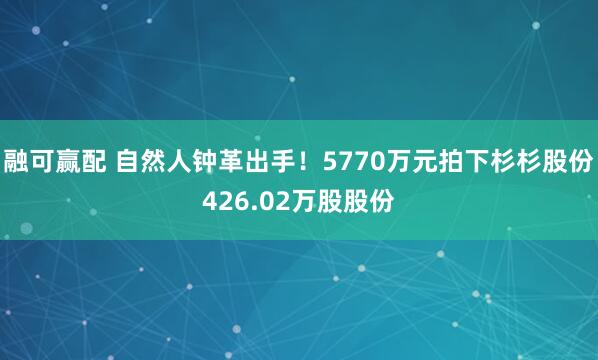融可赢配 自然人钟革出手！5770万元拍下杉杉股份426.02万股股份
