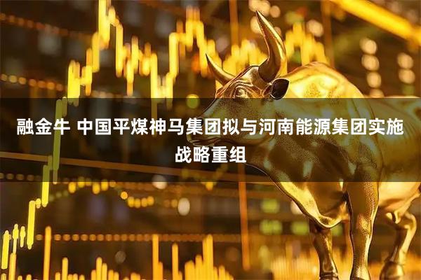 融金牛 中国平煤神马集团拟与河南能源集团实施战略重组
