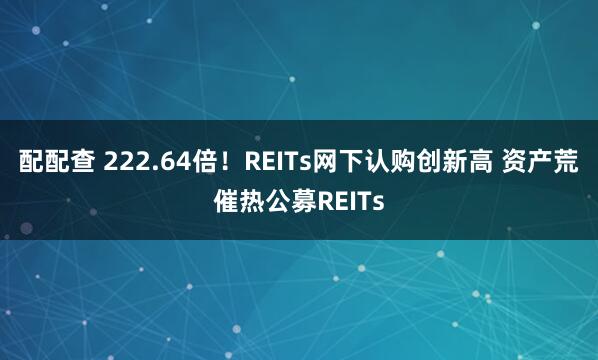 配配查 222.64倍！REITs网下认购创新高 资产荒催热公募REITs