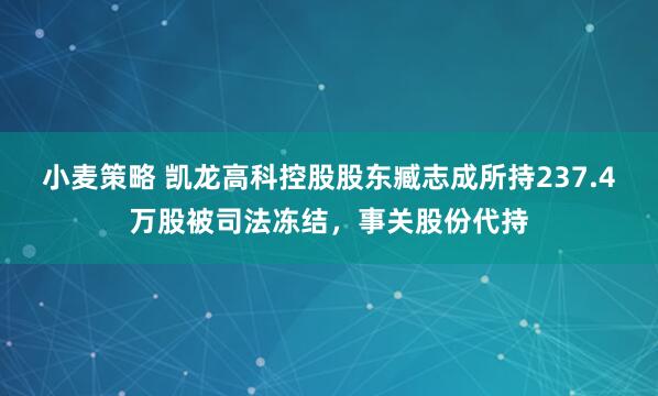 小麦策略 凯龙高科控股股东臧志成所持237.4万股被司法冻结，事关股份代持