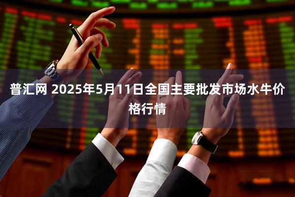普汇网 2025年5月11日全国主要批发市场水牛价格行情