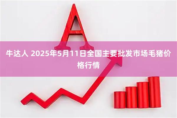 牛达人 2025年5月11日全国主要批发市场毛猪价格行情