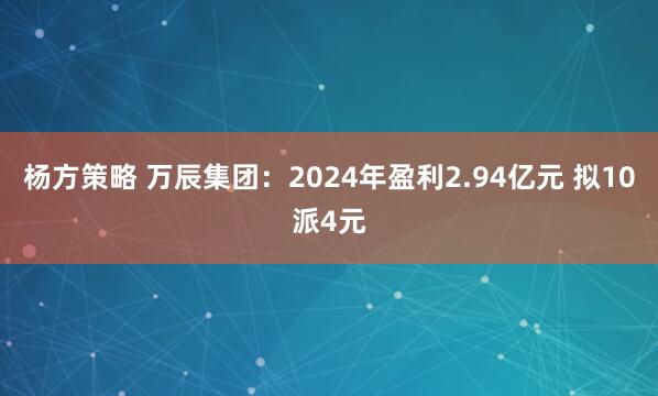 杨方策略 万辰集团：2024年盈利2.94亿元 拟10派4元