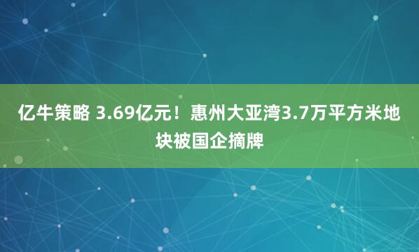 亿牛策略 3.69亿元！惠州大亚湾3.7万平方米地块被国企摘牌