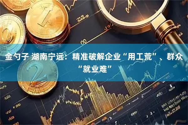 金勺子 湖南宁远:精准破解企业“用工荒”、群众“就业难”